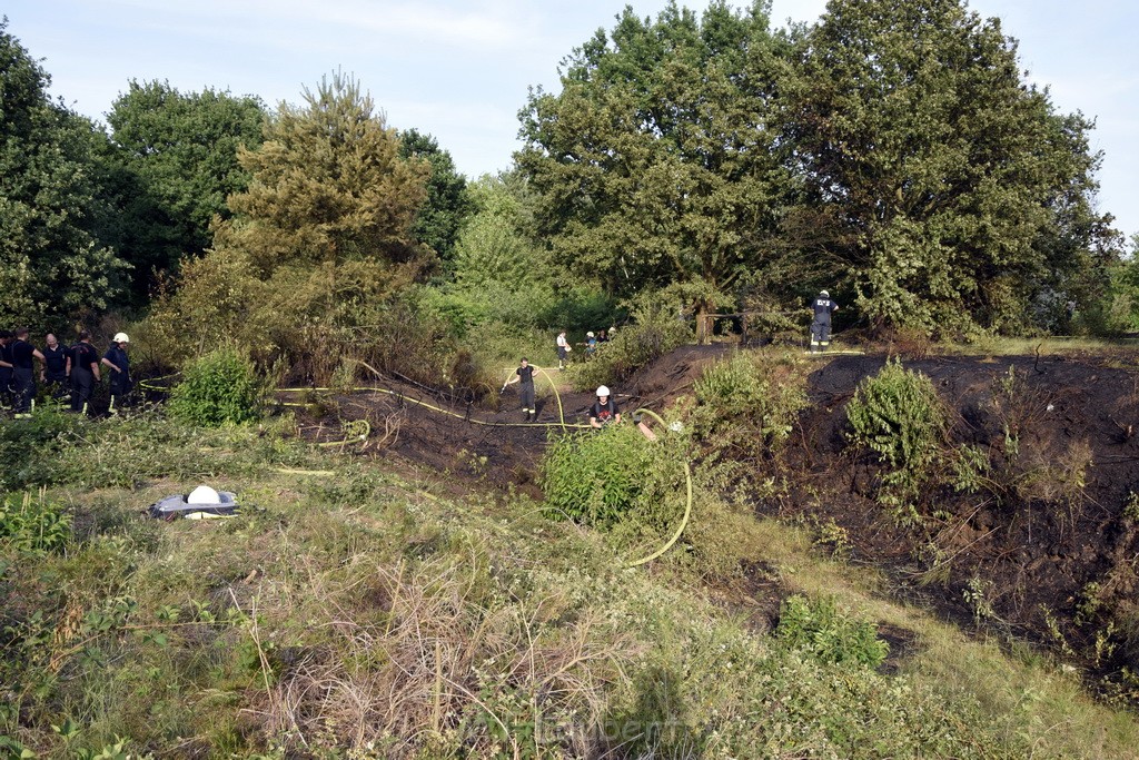 Waldbrand Koeln Hoehenhaus Hoehenfelder Mauspfad P137.JPG - Miklos Laubert